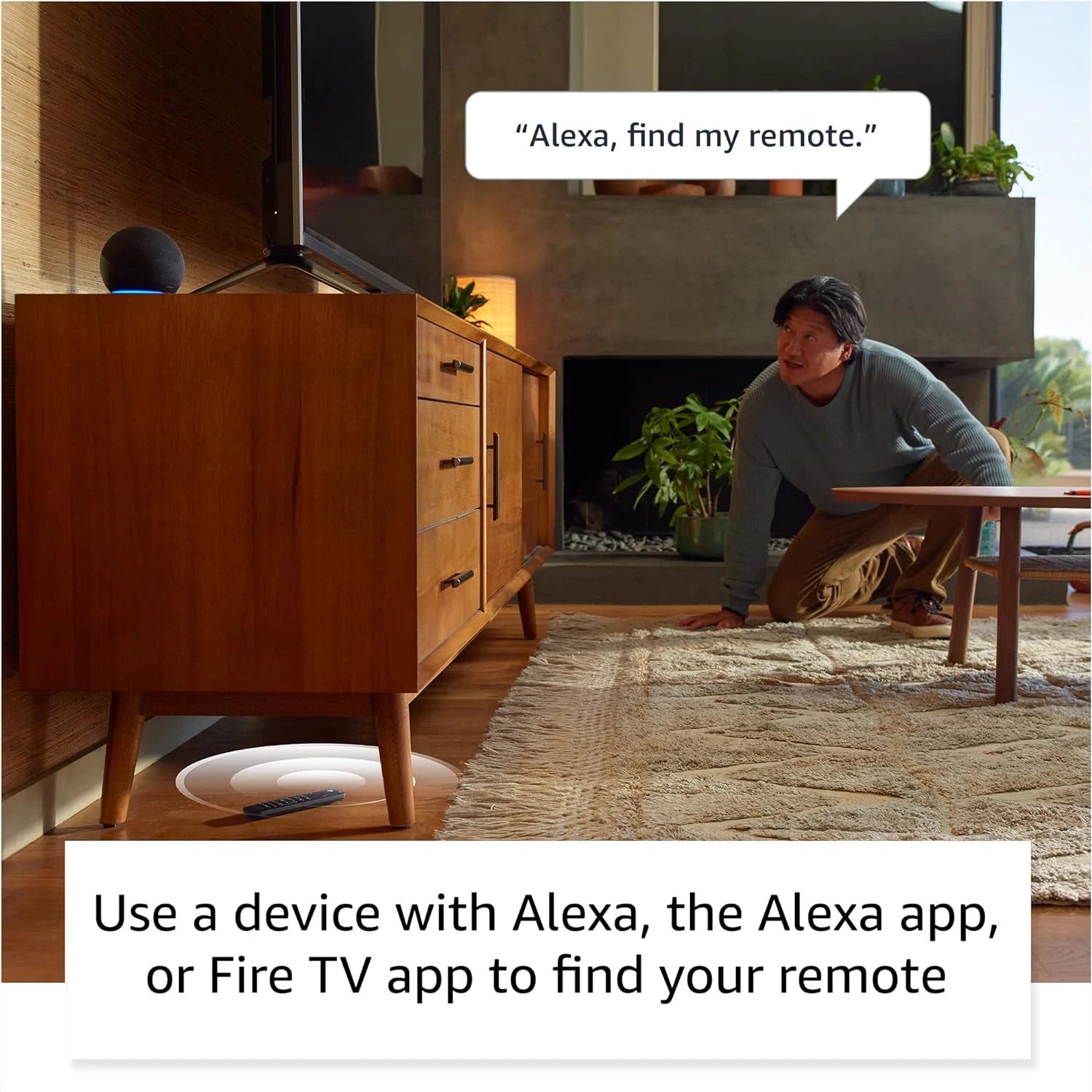 alexa voice remote